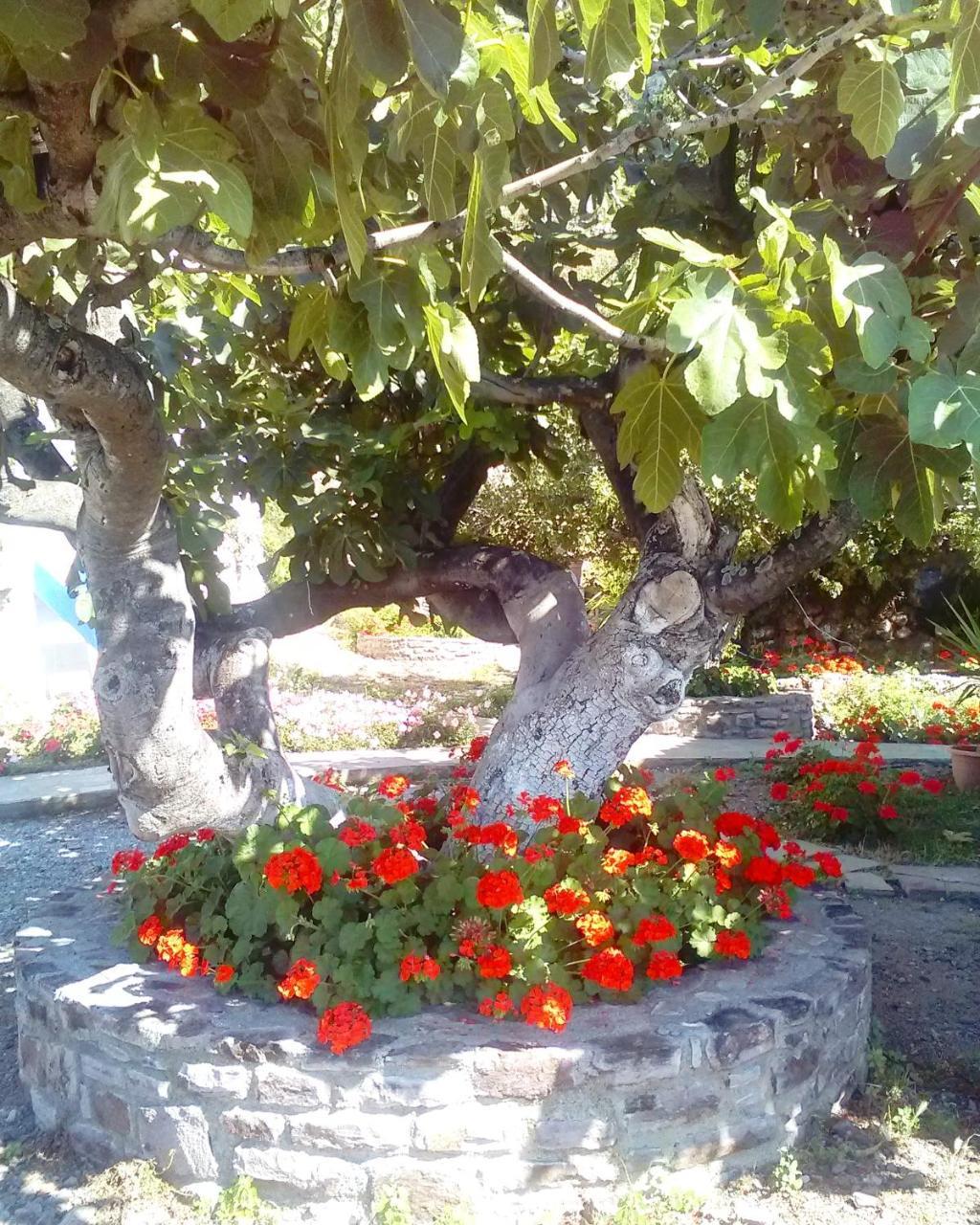 Enalion Apartments Agios Ioannis Kaspaka Buitenkant foto